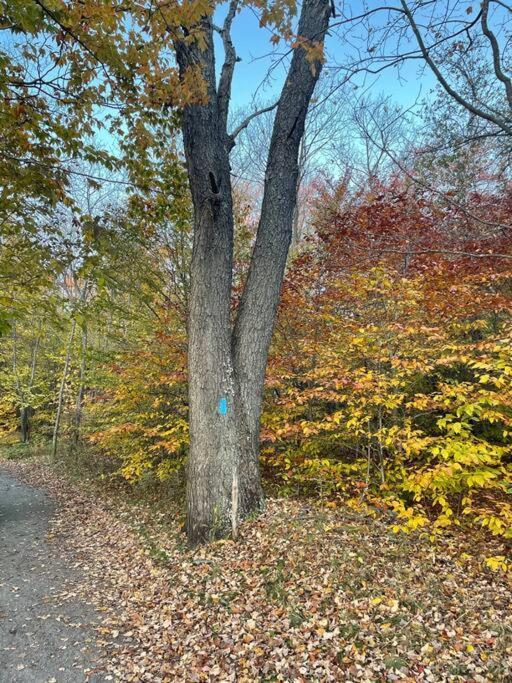 הוילה Tobyhanna Poconos Peaceful Retreat - Families & Large Groups מראה חיצוני תמונה